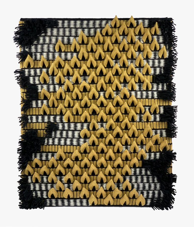 Animal Planet 31" H x 25" W x 3" D