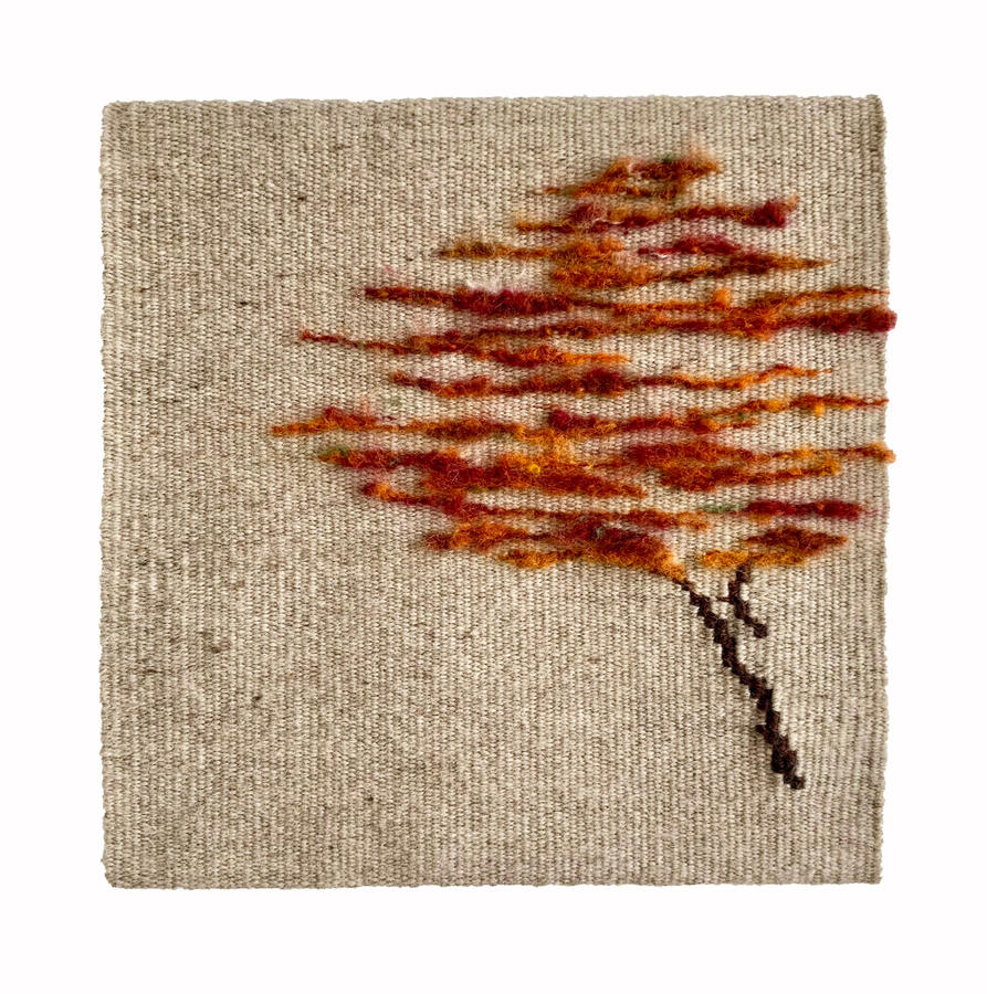 Red Maple 12" H x 12" W
